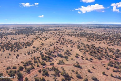 8755 Hawkeye Cir unit Lot C, Williams, AZ 86046 - photo 4