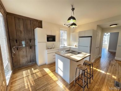 1110 Tamm Ave unit 1110 -1112, Saint Louis, MO 63139 - photo 6