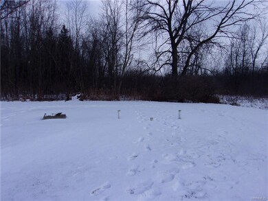 Property goes approximately up to the woods.