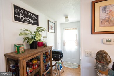 3002 Old Route 50, Cambridge, MD 21613 - photo 5