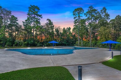 14130 Aspen Woods Ct, Conroe, TX 77384 - photo 7