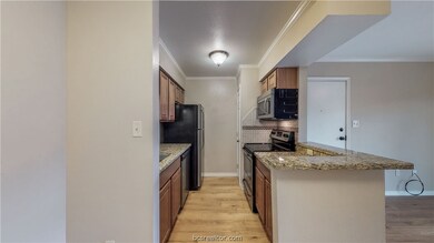 Cripple Creek Condos unit 116, College Station, TX 77840 - photo 6
