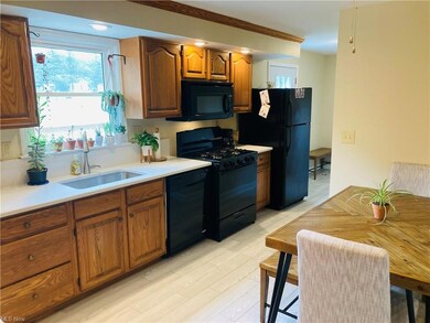 2836 N County Line Rd, Geneva, OH 44041 - photo 7