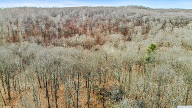 275 Westfall Rd, Ancram, NY 12502 - photo 4