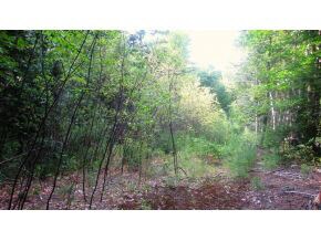 0 Merrill Dr unit 4503739, Bennington, NH 03442 - photo 7