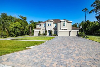 17812 Tidewater Bay Ln, Lutz, FL 33549 - photo 4