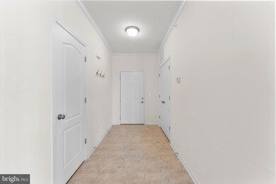 24636 Woolly Mammoth Terrace unit 400, Aldie, VA 20105 - photo 5