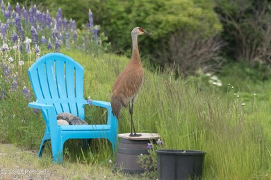 Guard duty