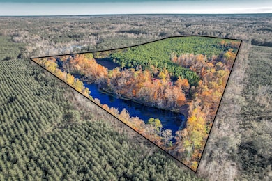 4099 Randall Hunt Rd, Dearing, GA 30808 - photo 2