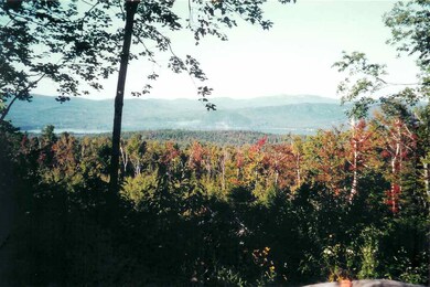 0 Poole Hill Rd unit Map 405 Lot 004-001, Bristol, NH 03222 - photo 3