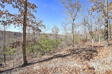 000 Swinging Bridges Rd, Brumley, MO 65017 - photo 3