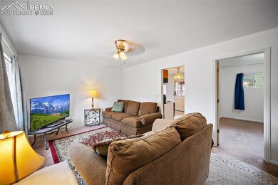 105 Larch Dr, Colorado Springs, CO 80911 - photo 4