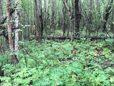 ground cover