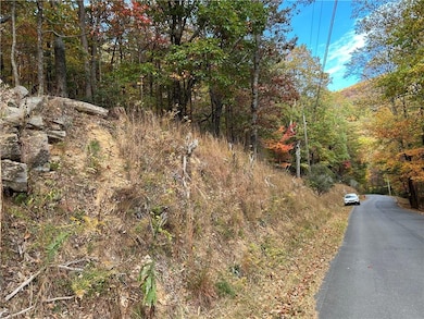 Lot on Left of Picture