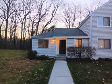 35 Nutmeg Rd unit B3, Middlebury, CT 06762 - photo 4