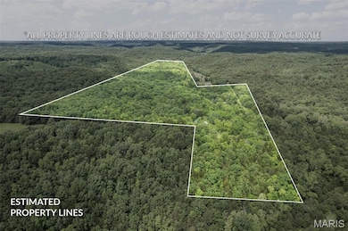 23201 Private Drive 6474, Duke, MO 65461 - photo 3