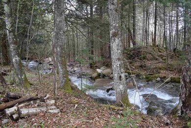 0 Cabot Trail unit Lot 2 4634402, Lancaster, NH 03584 - photo 6