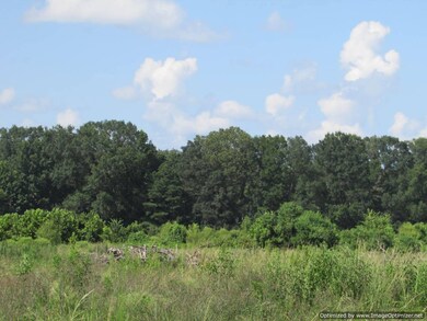 Hwy 43, Canton Mississippi 43, Canton, MS 39046 - photo 4