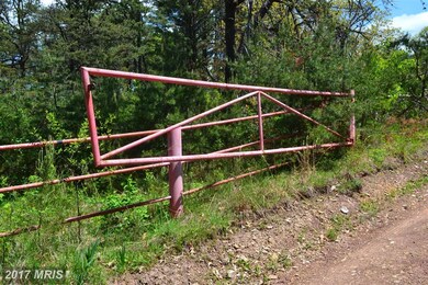 0 Shenandoah Mountain Rd unit 1000213733, Mathias, WV 26812 - photo 7