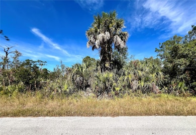 LOT 8 Detroit Ave, Hudson, FL 34667 - photo 2