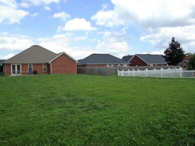 Back Yard from Back