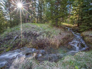 Lot 11 Towering Pines, Big Sky, MT 59716 - photo 4