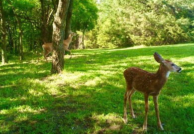 15305 T Rd, Mayetta, KS 66509 - photo 4