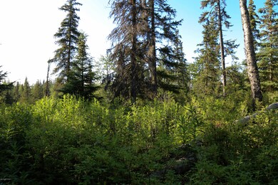 Stone River Lots-13