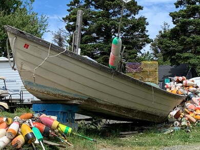 IMG-5666