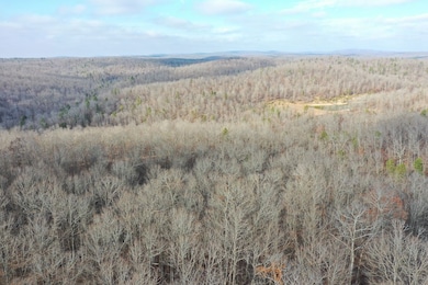 Tbd County Road 118, Annapolis, MO 63620 - photo 6