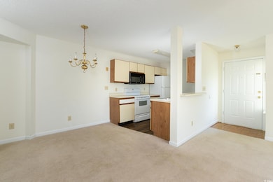 Kitchen with white appliances, dark carpet, light 