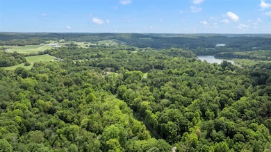 0 Dogwood Ridge, Cub Run, KY 42729 - photo 5