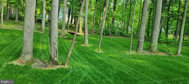 237 Speaks Ln, Harpers Ferry, WV 25425 - photo 3