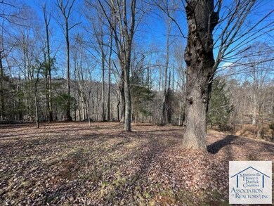 8585 Chatham Rd, Martinsville, VA 24112 - photo 7