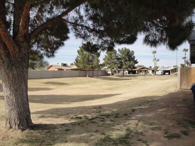 Common Green Area