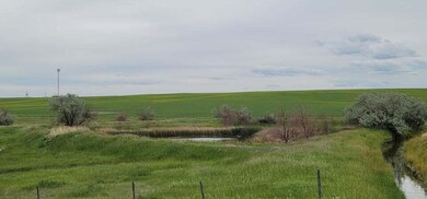 Pond on the property
