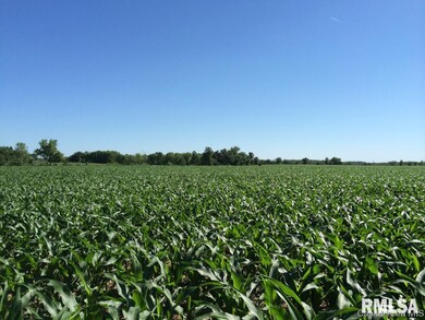 0 Illinois Route 78, Jacksonville, IL 62650 - photo 5