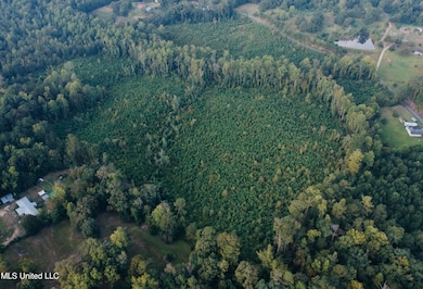 0 Blizzard Rd, Meridian, MS 39305 - photo 6