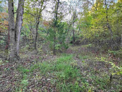 1071 Pleasant Run Rd, Mammoth Spring, AR 72554 - photo 5