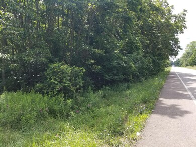 Dumont Road - Pic #3