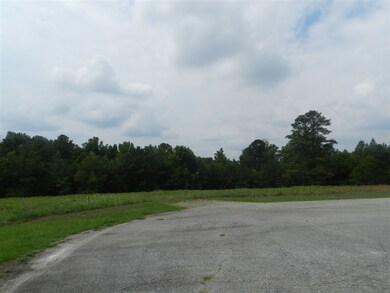 0 Cheval Trail, Gaffney, SC 29341 - photo 4