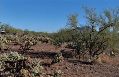 Natural Desert