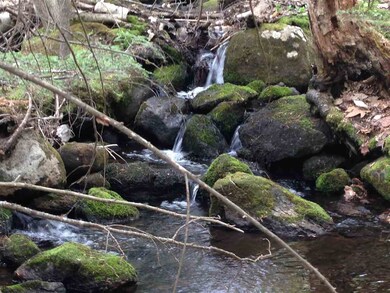 Lot 32 Copplecrown, New Durham, NH 03855 - photo 4