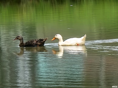 2517 Cherrybark Ln, Flora, IL 62839 - photo 7