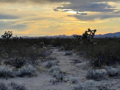 3503 S Lone Ranger Rd unit 3503, Yucca, AZ 86438 - photo 6