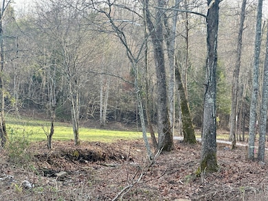 Lot 6 Hensley Rd, East Bernstadt, KY 40729 - photo 6