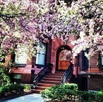 33 Bay State Rd unit 1, Boston, MA 02215 - photo 2