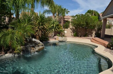 AMAZING BACKYARD!