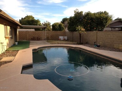 Backyard facing South