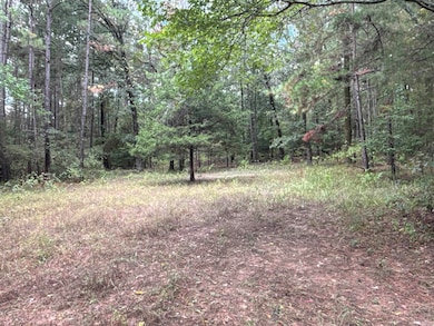 TBD Highway 57, Chidester, AR 71726 - photo 5